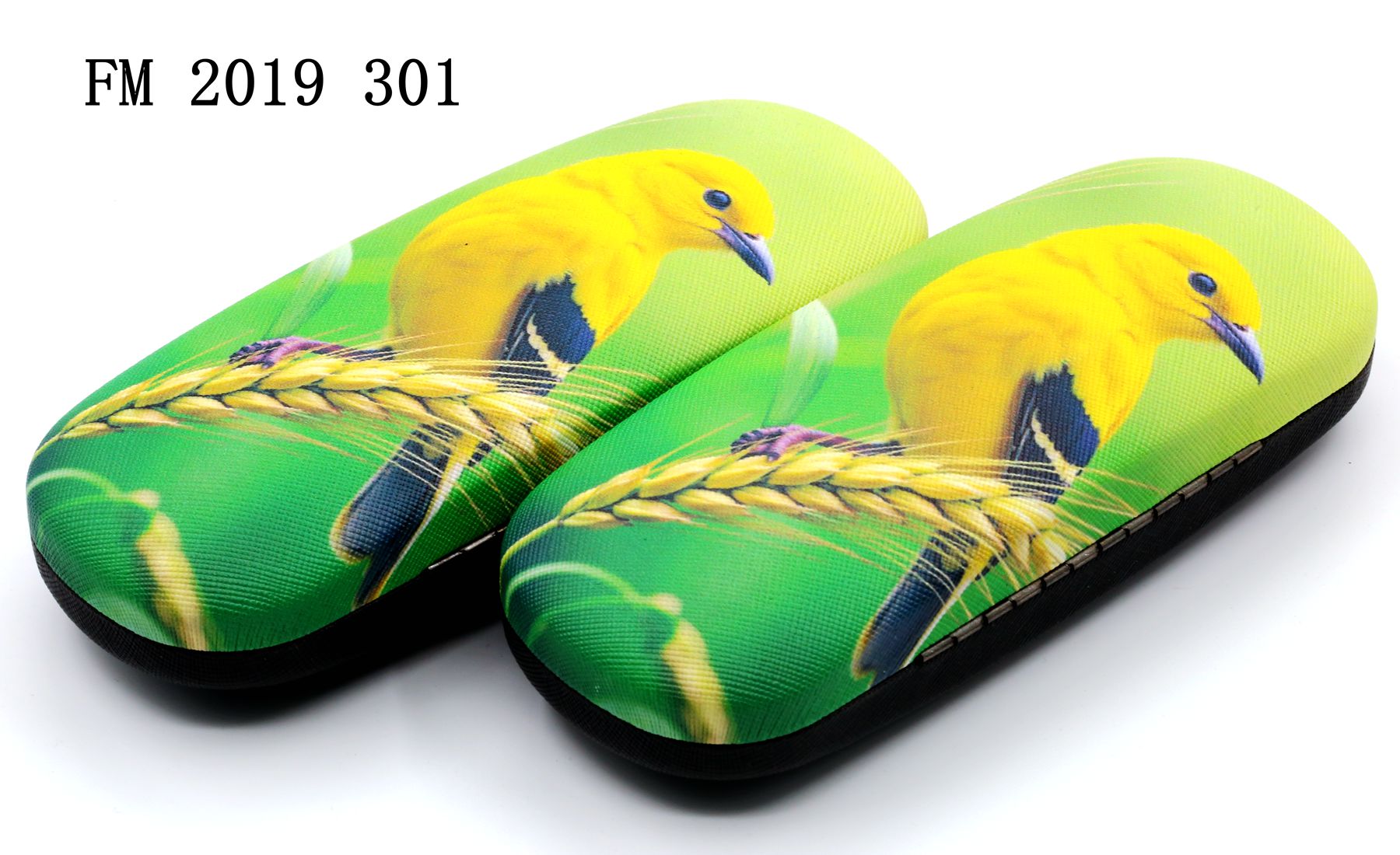 FM2019-301