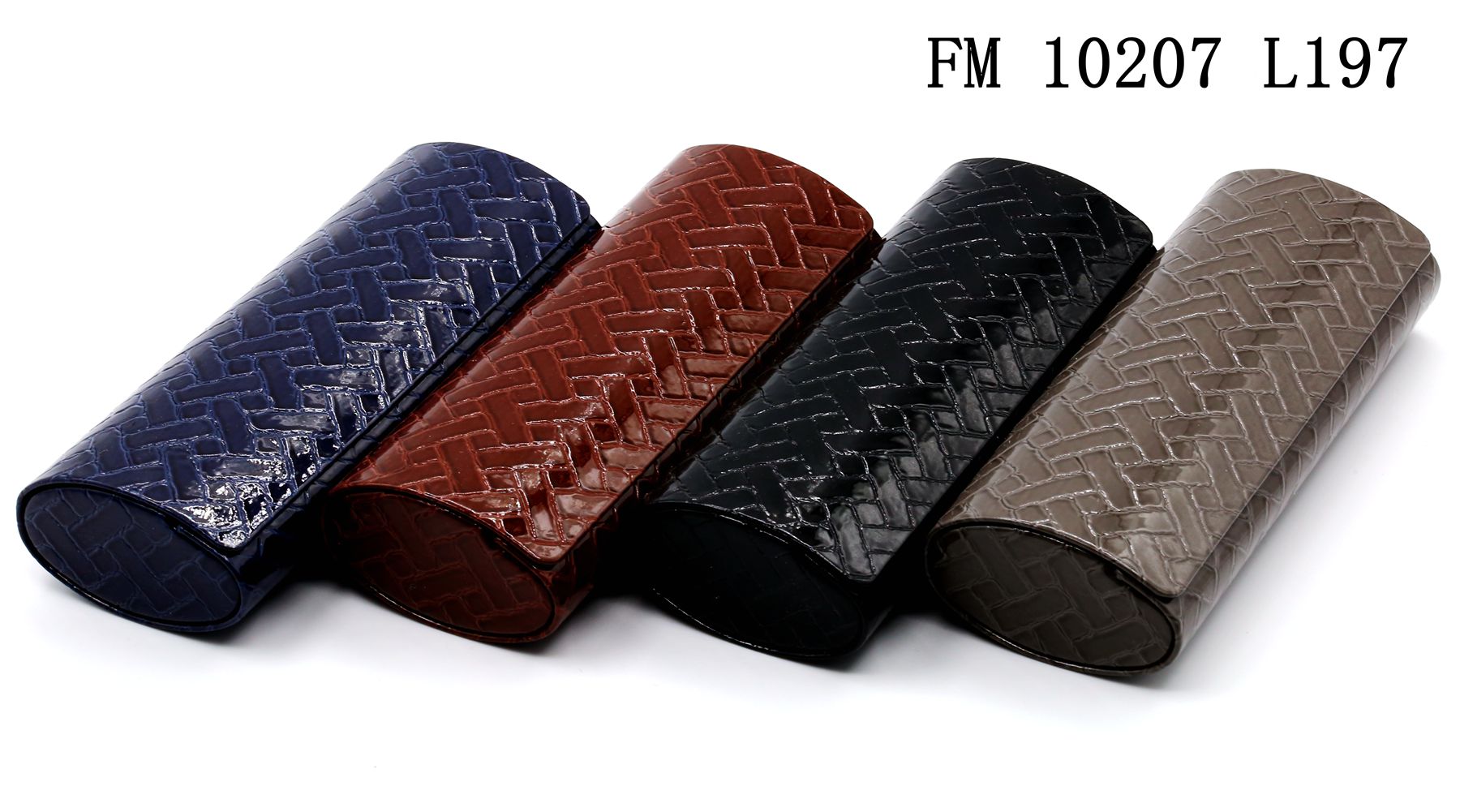 FM10207-L197